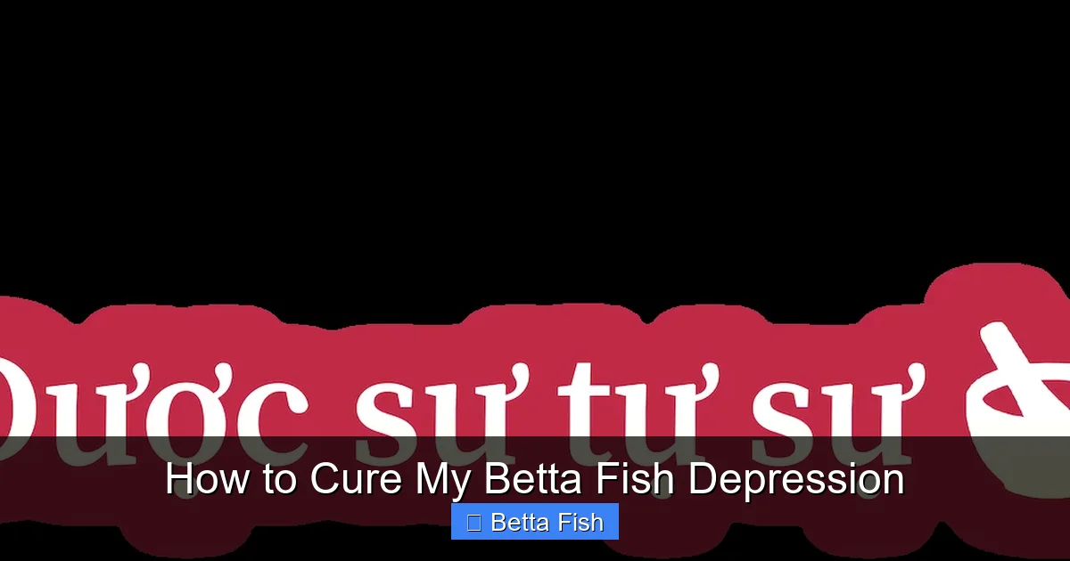 How to Cure My Betta Fish Depression
