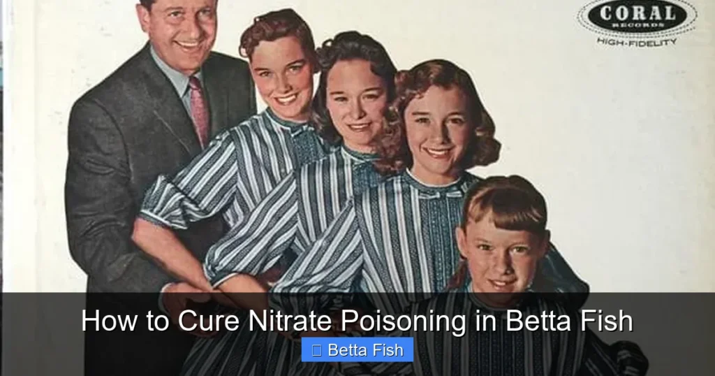 How to Cure Nitrate Poisoning in Betta Fish