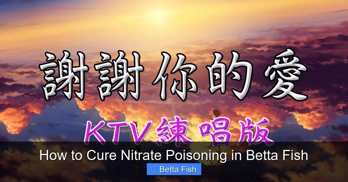 How to Cure Nitrate Poisoning in Betta Fish