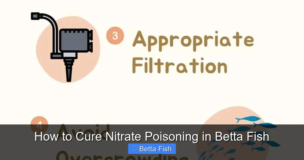 How to Cure Nitrate Poisoning in Betta Fish