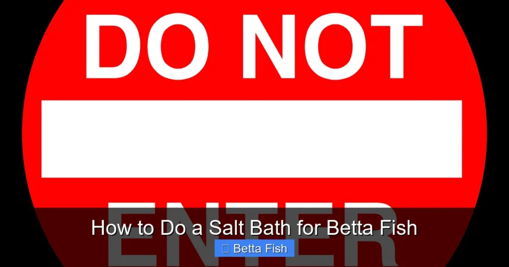 How to Do a Salt Bath for Betta Fish