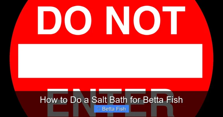 How to Do a Salt Bath for Betta Fish