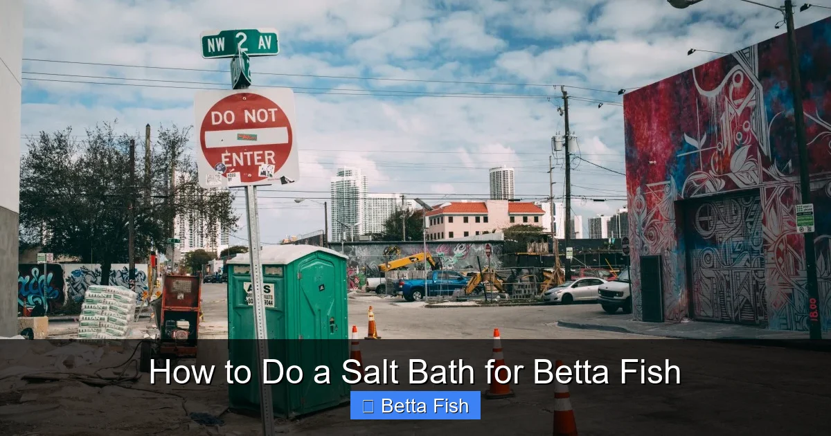 How to Do a Salt Bath for Betta Fish