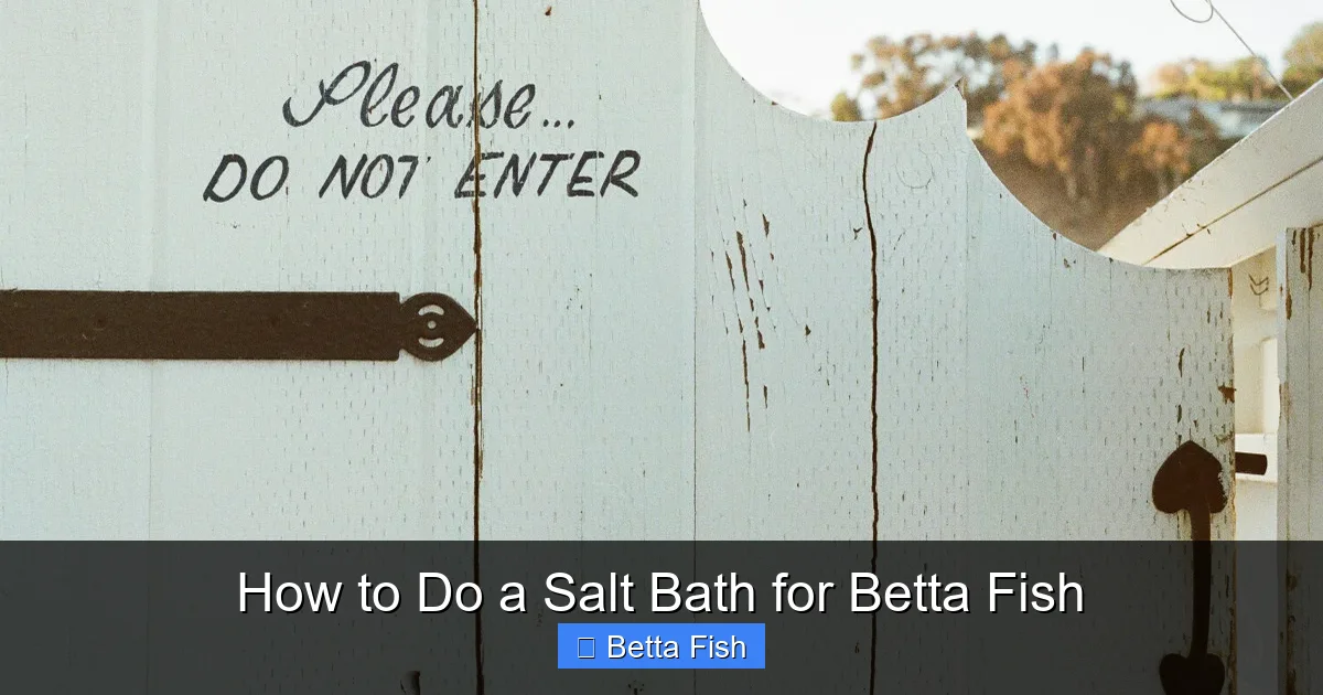 How to Do a Salt Bath for Betta Fish