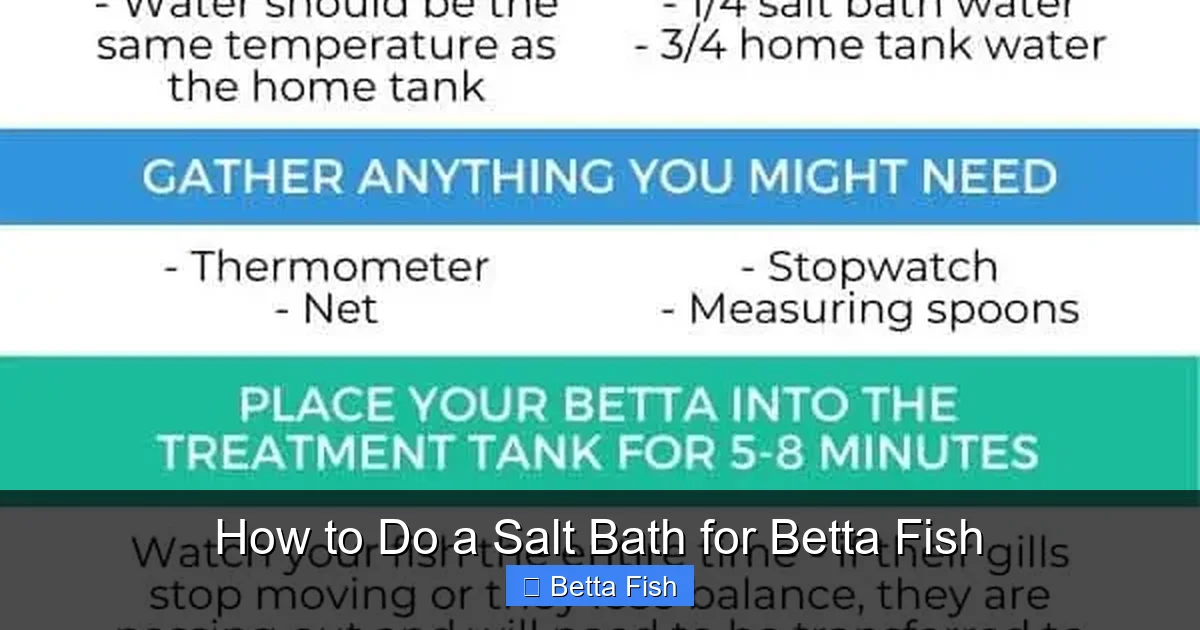 How to Do a Salt Bath for Betta Fish