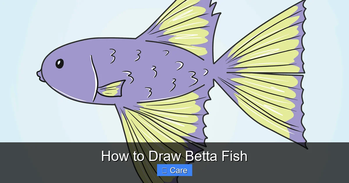 How to Draw Betta Fish