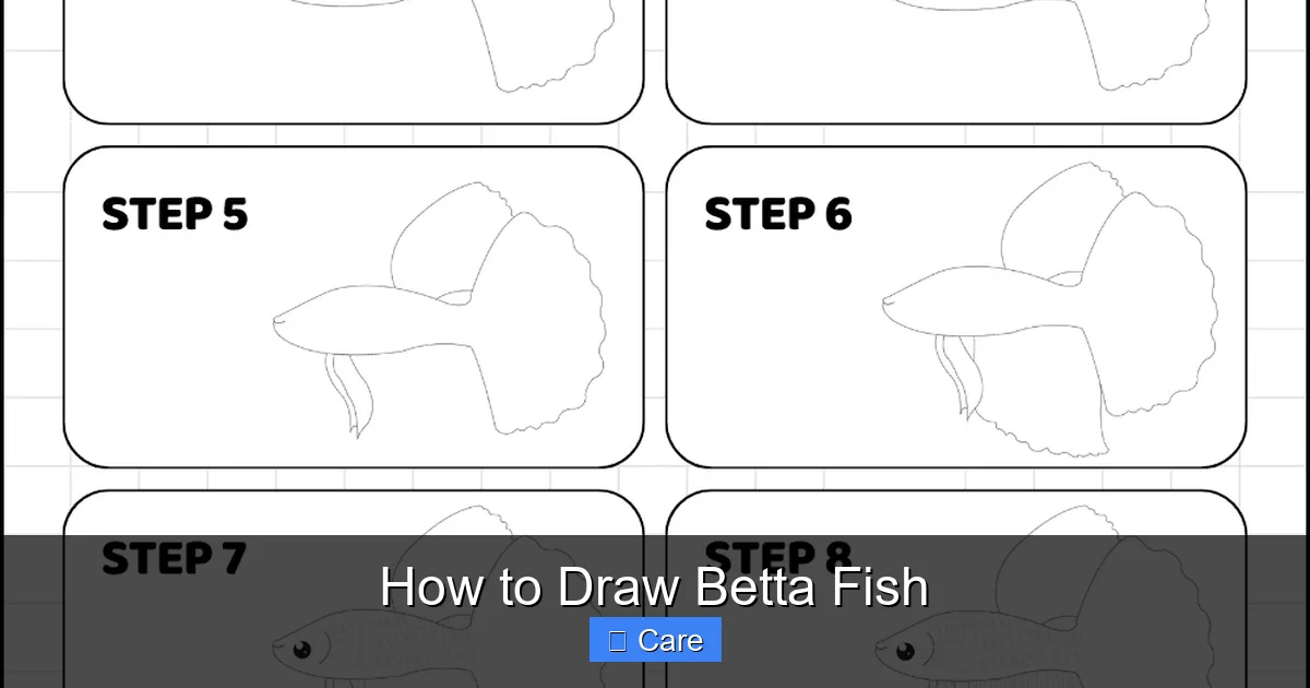 How to Draw Betta Fish