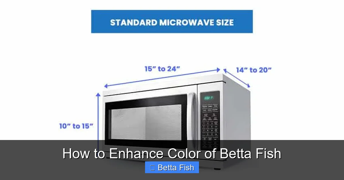 How to Enhance Color of Betta Fish