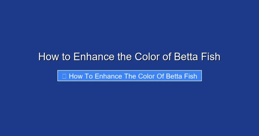 How to Enhance the Color of Betta Fish