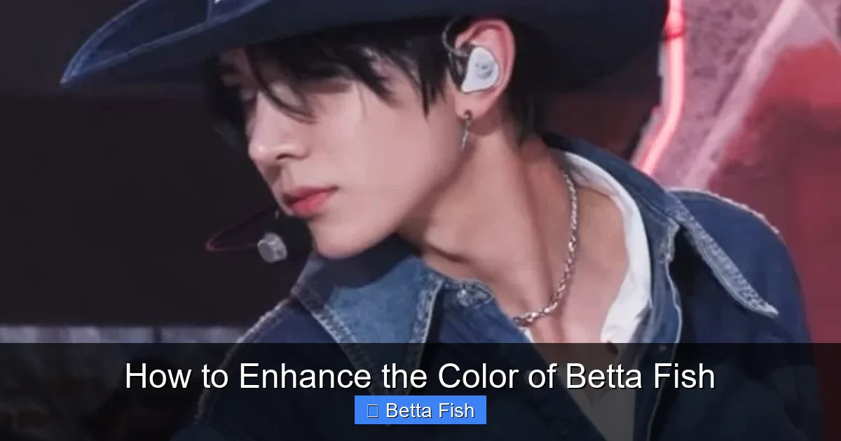 How to Enhance the Color of Betta Fish