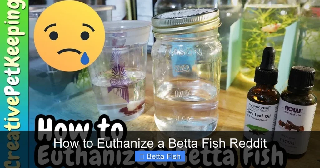 How to Euthanize a Betta Fish Reddit