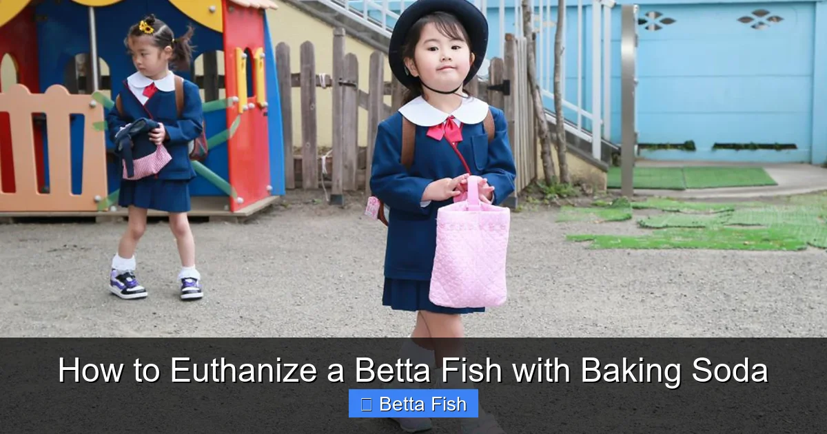 How to Euthanize a Betta Fish with Baking Soda