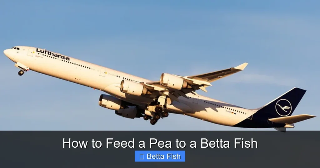 How to Feed a Pea to a Betta Fish