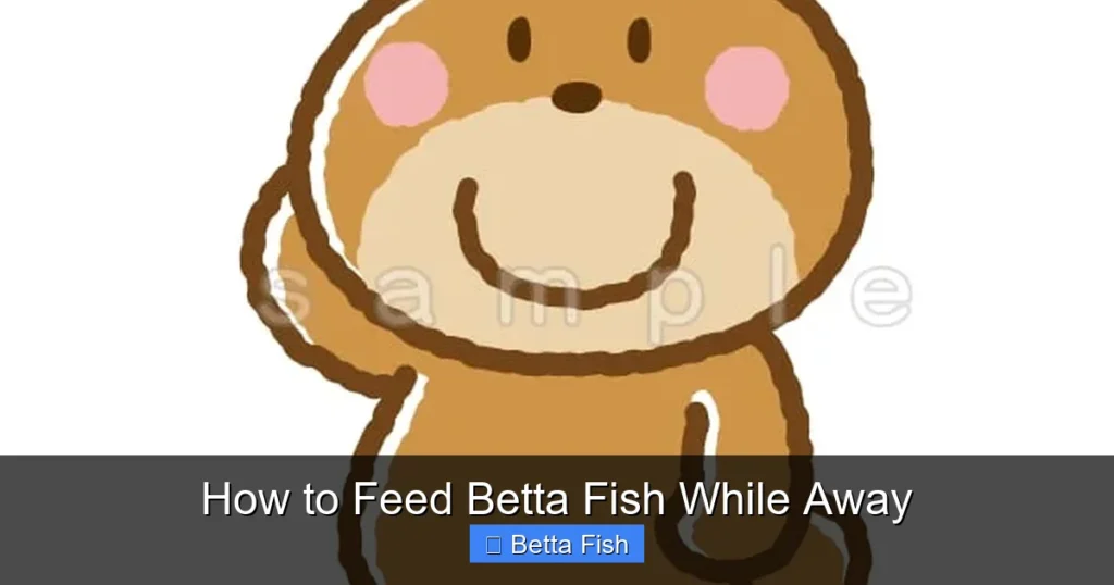How to Feed Betta Fish While Away