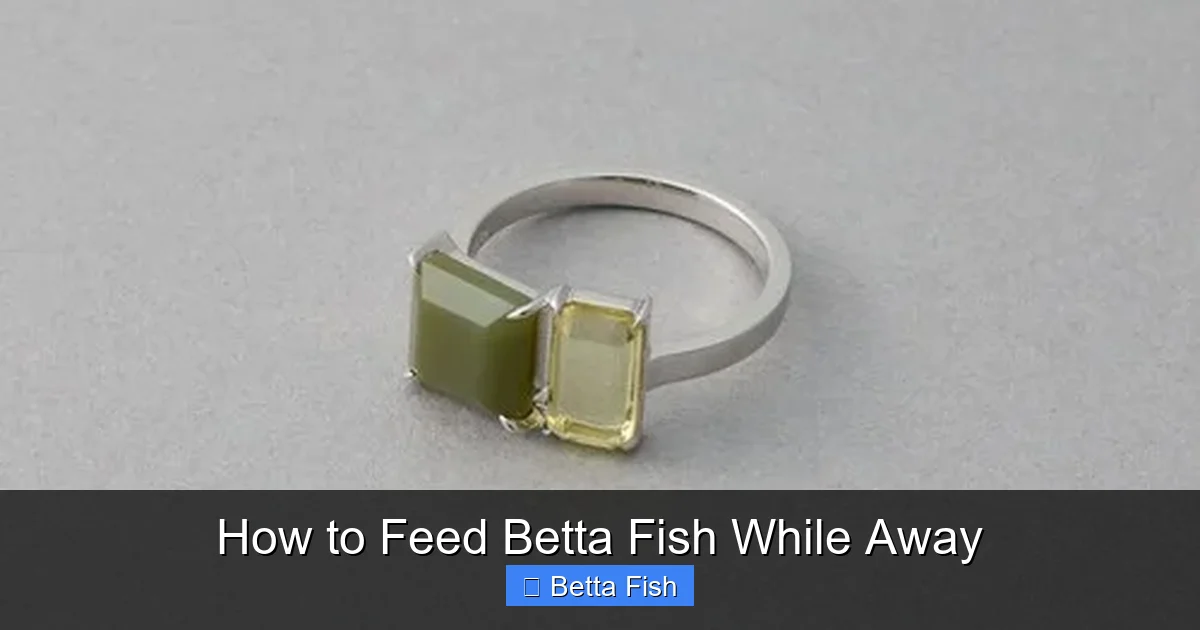 How to Feed Betta Fish While Away