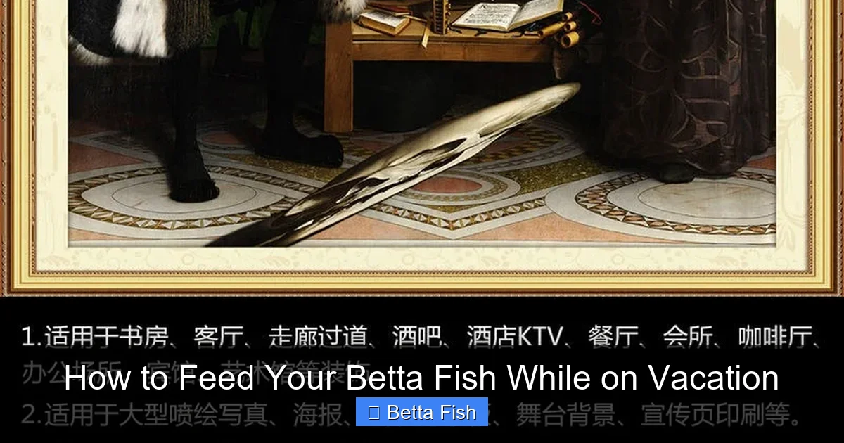 How to Feed Your Betta Fish While on Vacation
