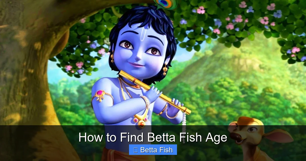 How to Find Betta Fish Age