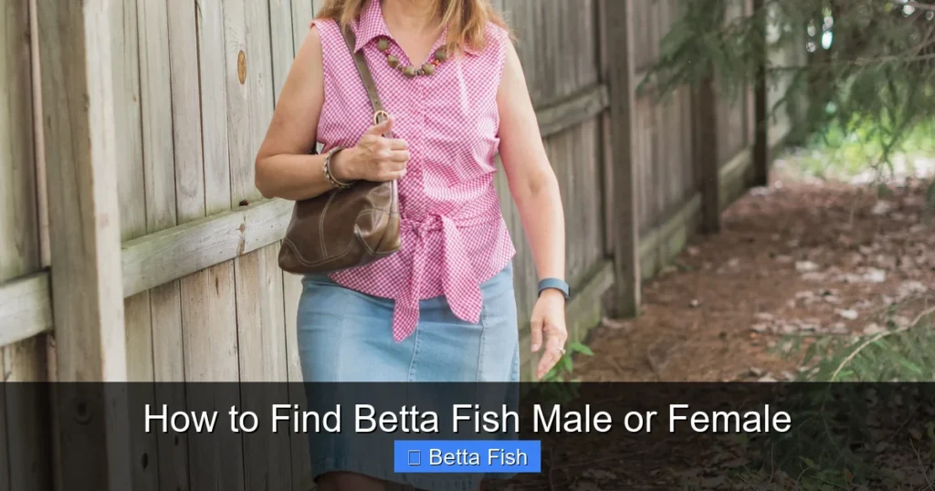 How to Find Betta Fish Male or Female
