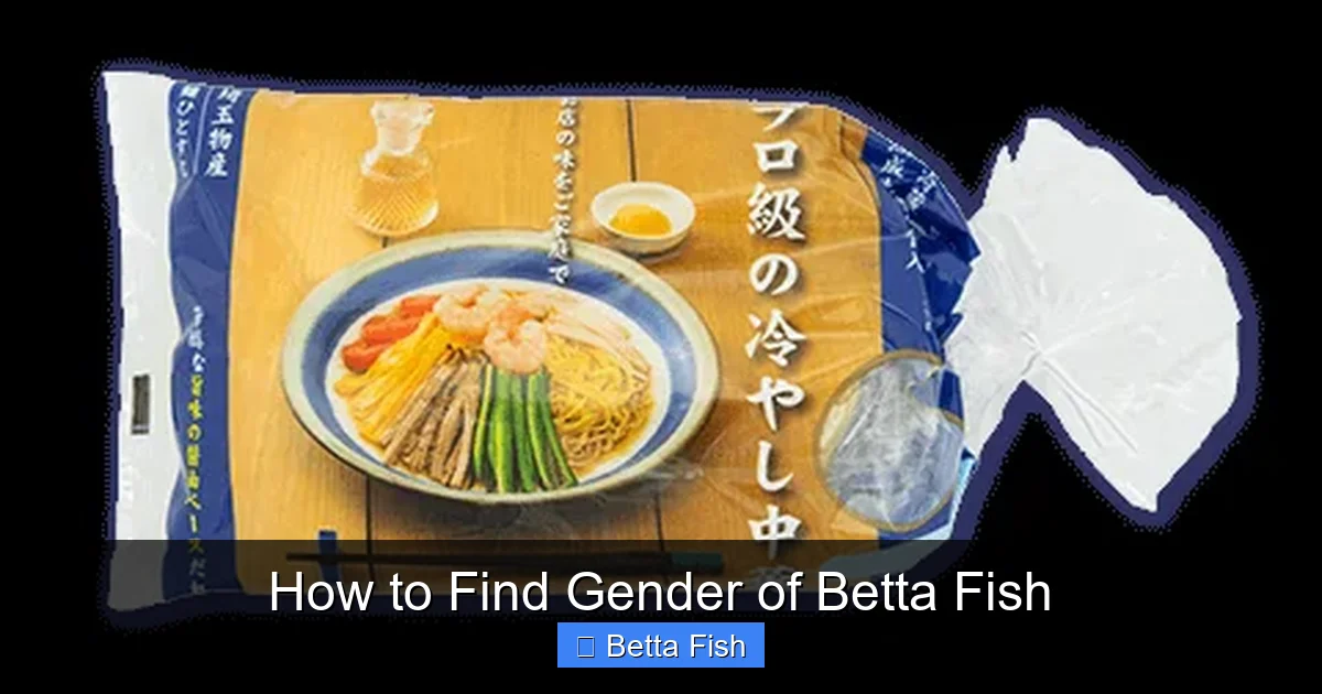 How to Find Gender of Betta Fish