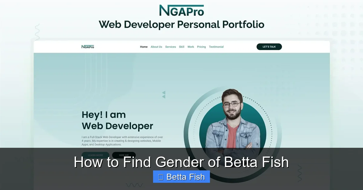 How to Find Gender of Betta Fish