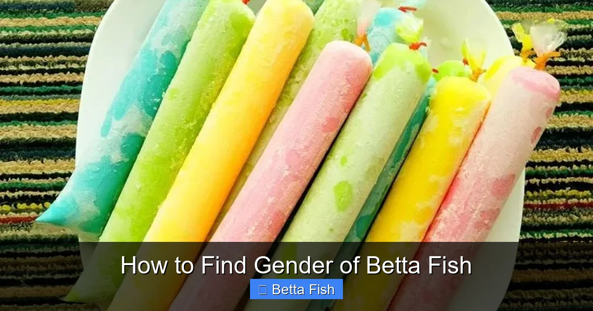 How to Find Gender of Betta Fish