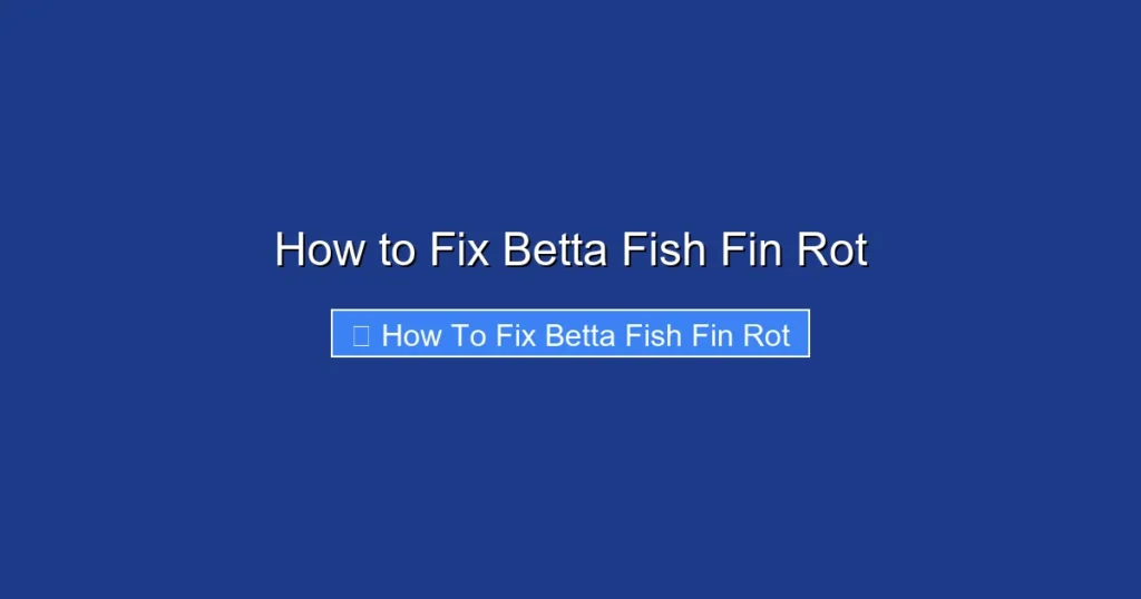 How to Fix Betta Fish Fin Rot