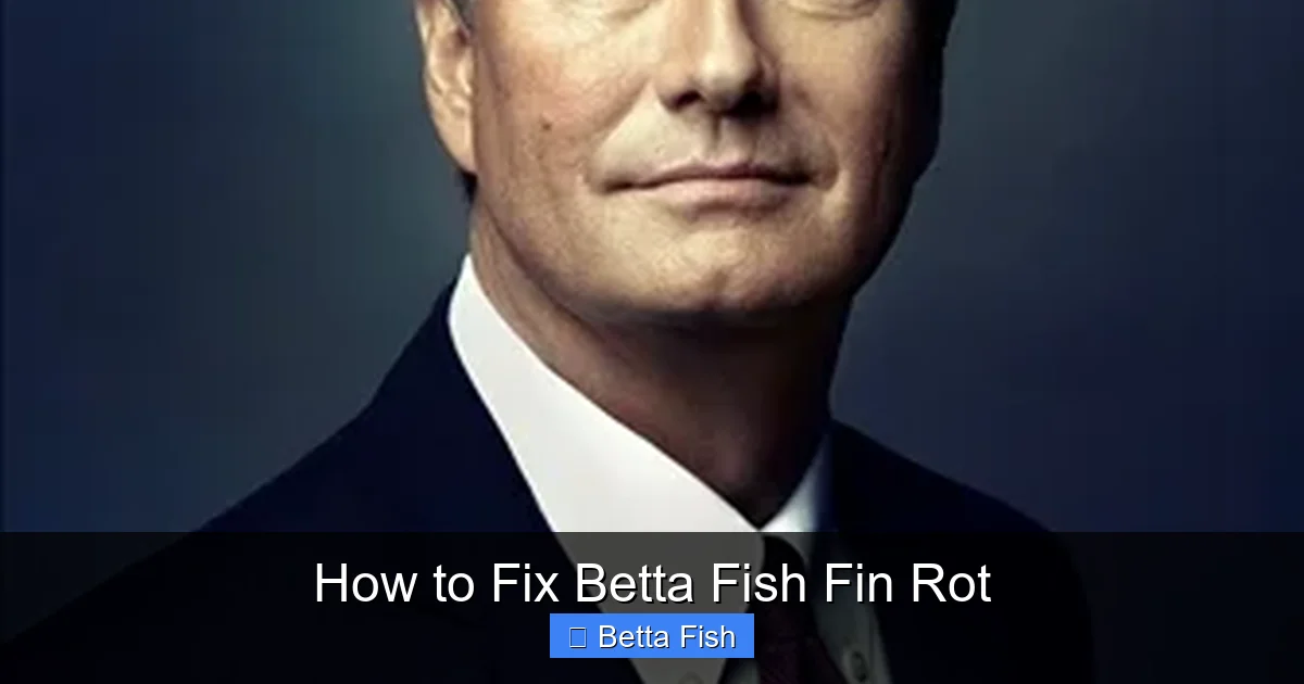 How to Fix Betta Fish Fin Rot