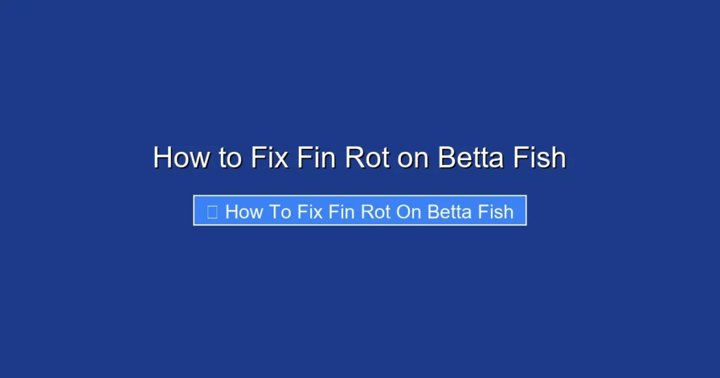 How to Fix Fin Rot on Betta Fish