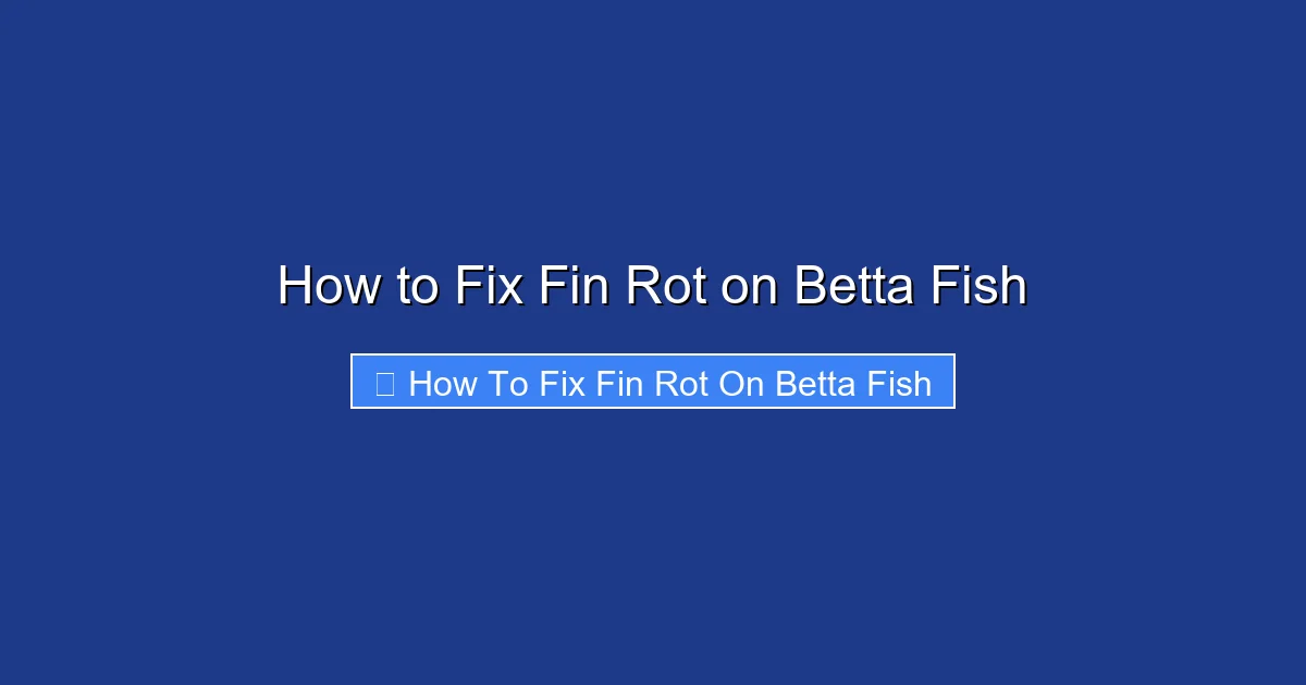 How to Fix Fin Rot on Betta Fish