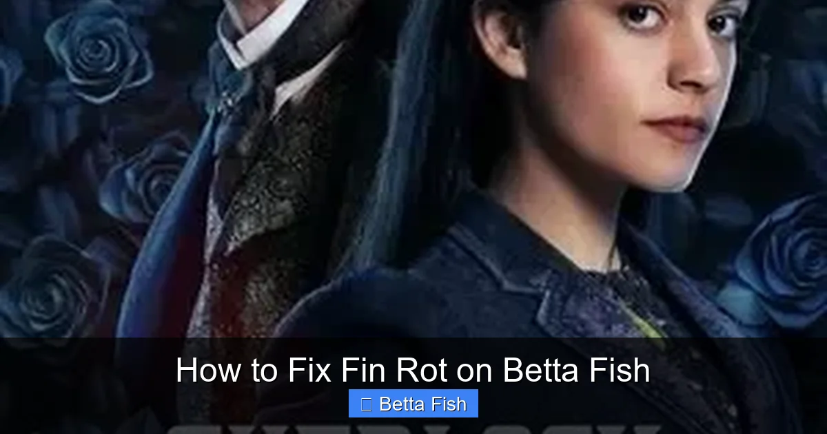How to Fix Fin Rot on Betta Fish