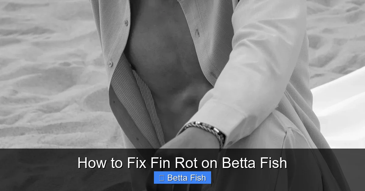 How to Fix Fin Rot on Betta Fish