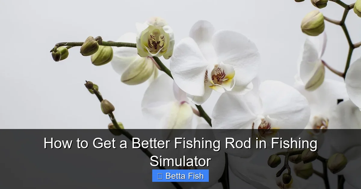 How to Get a Better Fishing Rod in Fishing Simulator