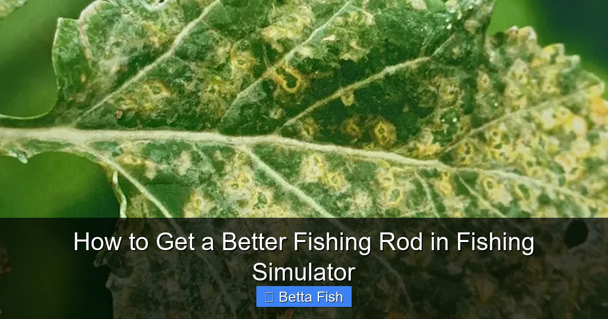 How to Get a Better Fishing Rod in Fishing Simulator