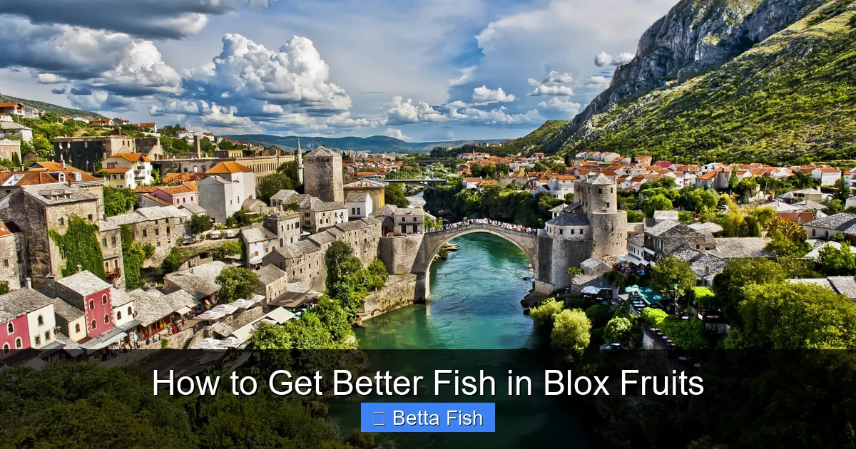 How to Get Better Fish in Blox Fruits