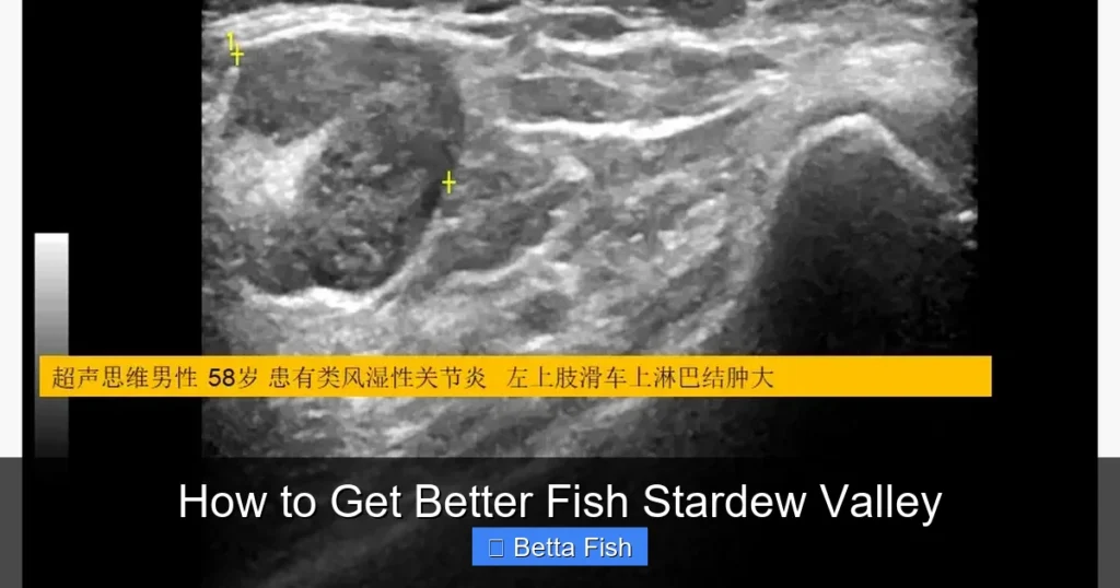 How to Get Better Fish Stardew Valley
