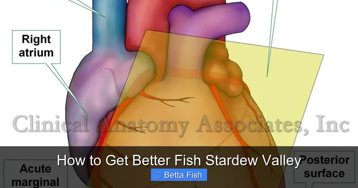 How to Get Better Fish Stardew Valley