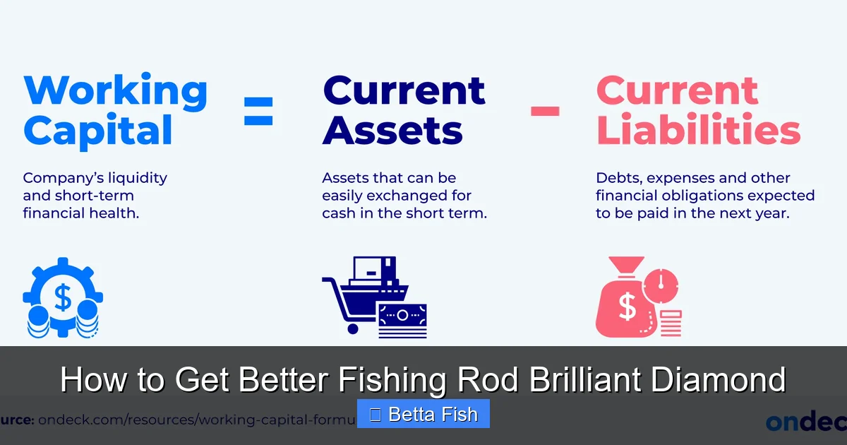 How to Get Better Fishing Rod Brilliant Diamond