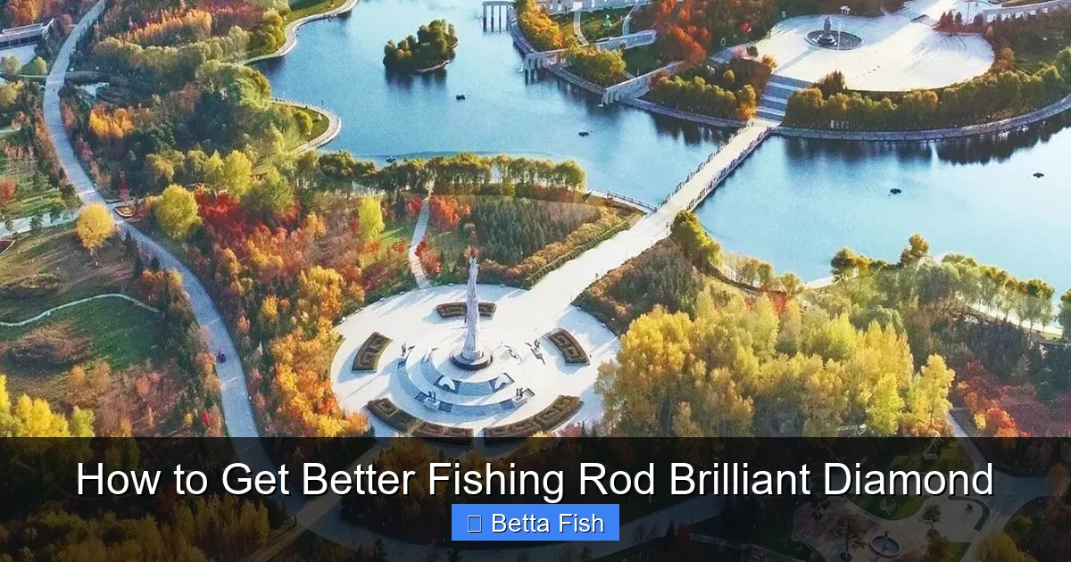 How to Get Better Fishing Rod Brilliant Diamond