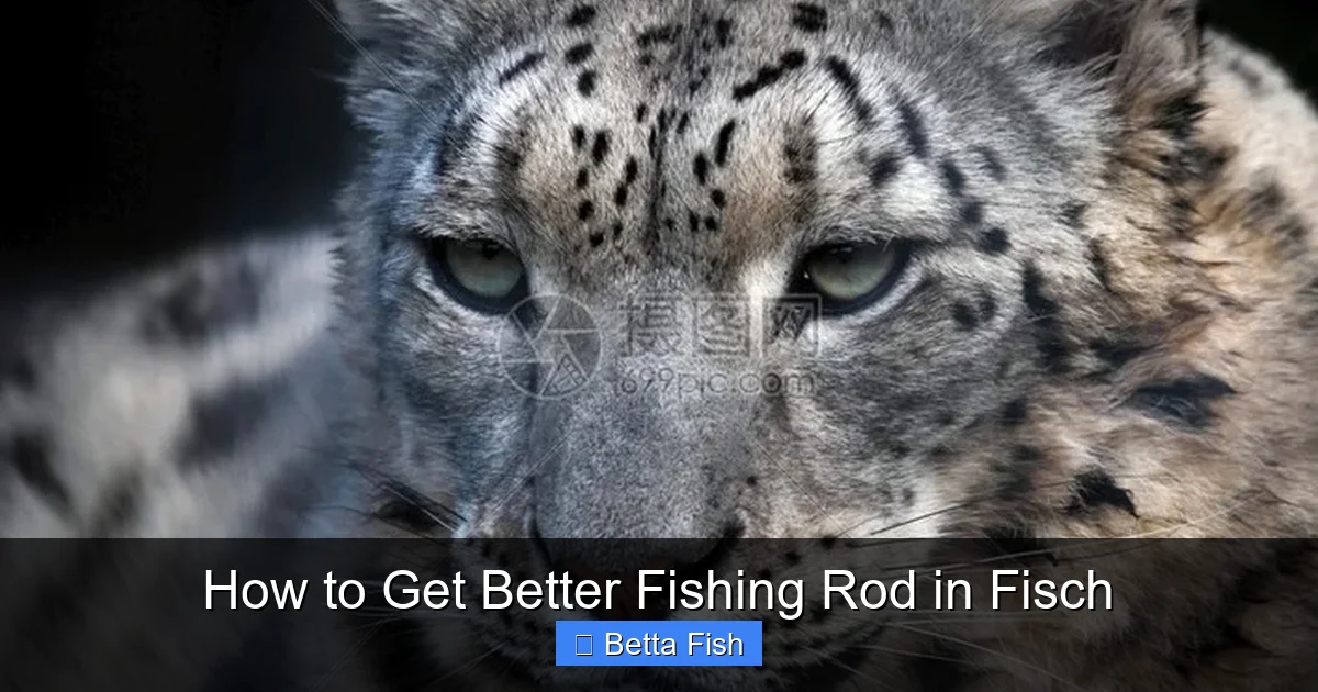 How to Get Better Fishing Rod in Fisch