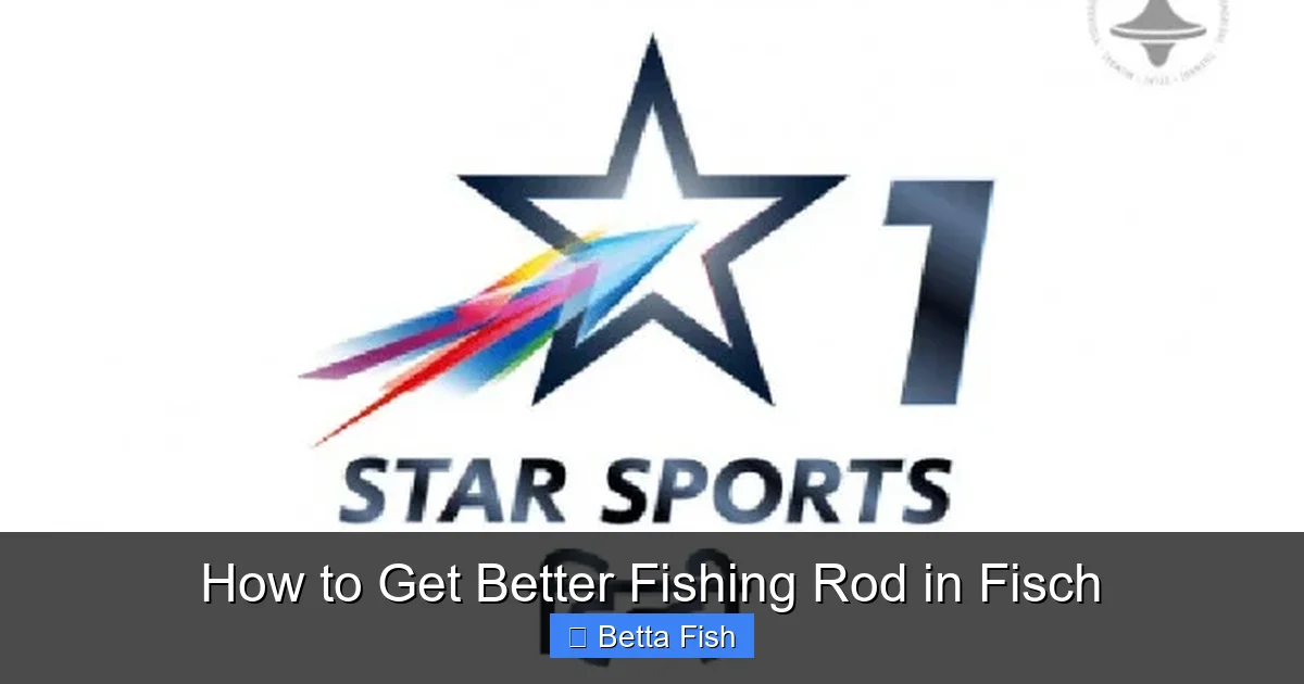How to Get Better Fishing Rod in Fisch