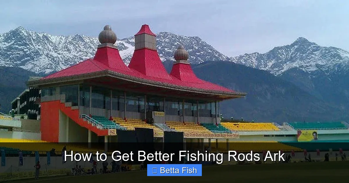 How to Get Better Fishing Rods Ark