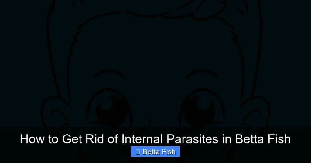 How to Get Rid of Internal Parasites in Betta Fish