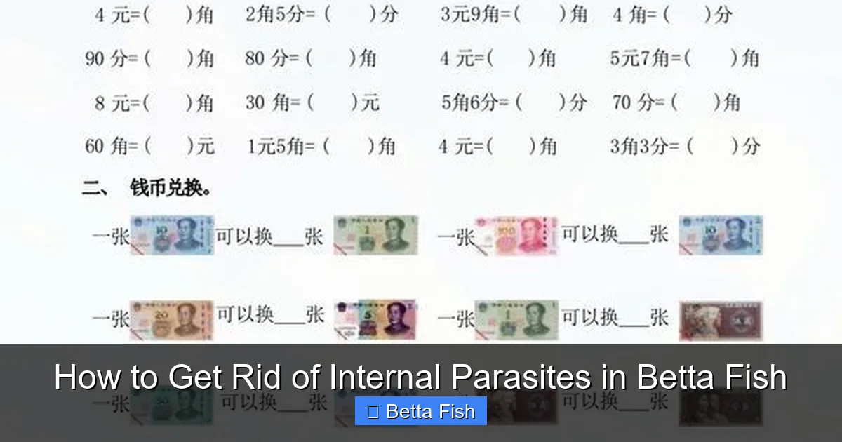 How to Get Rid of Internal Parasites in Betta Fish