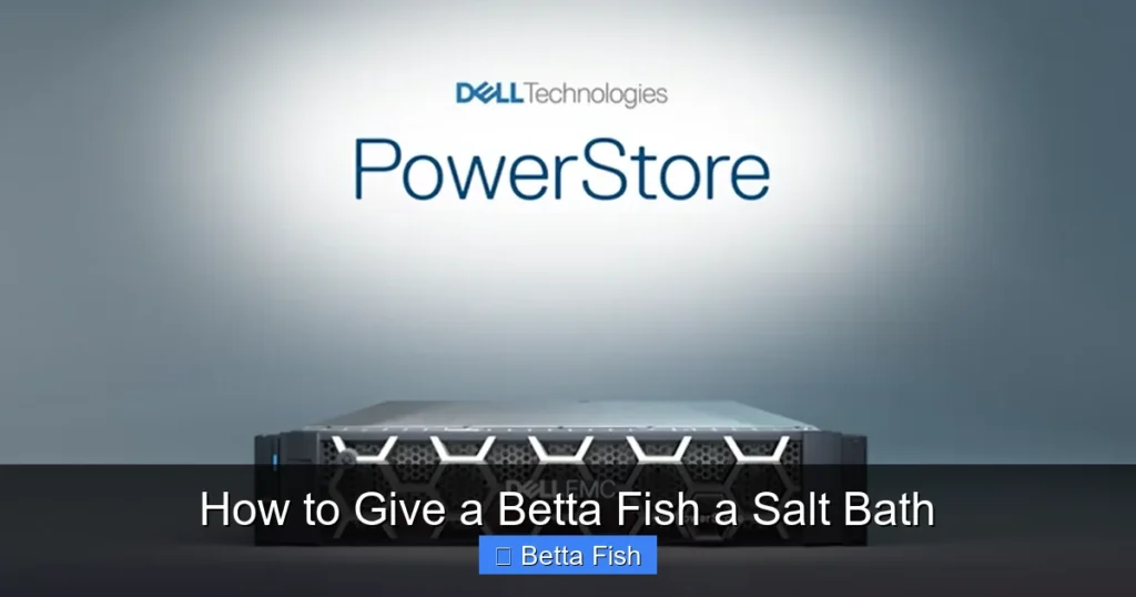 How to Give a Betta Fish a Salt Bath