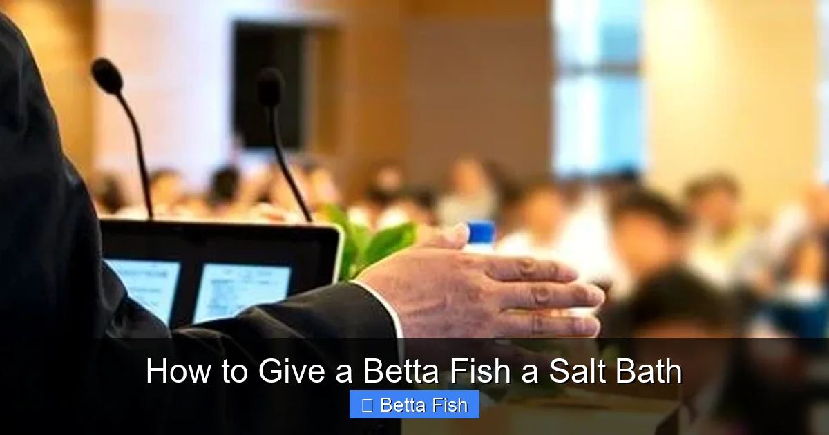 How to Give a Betta Fish a Salt Bath