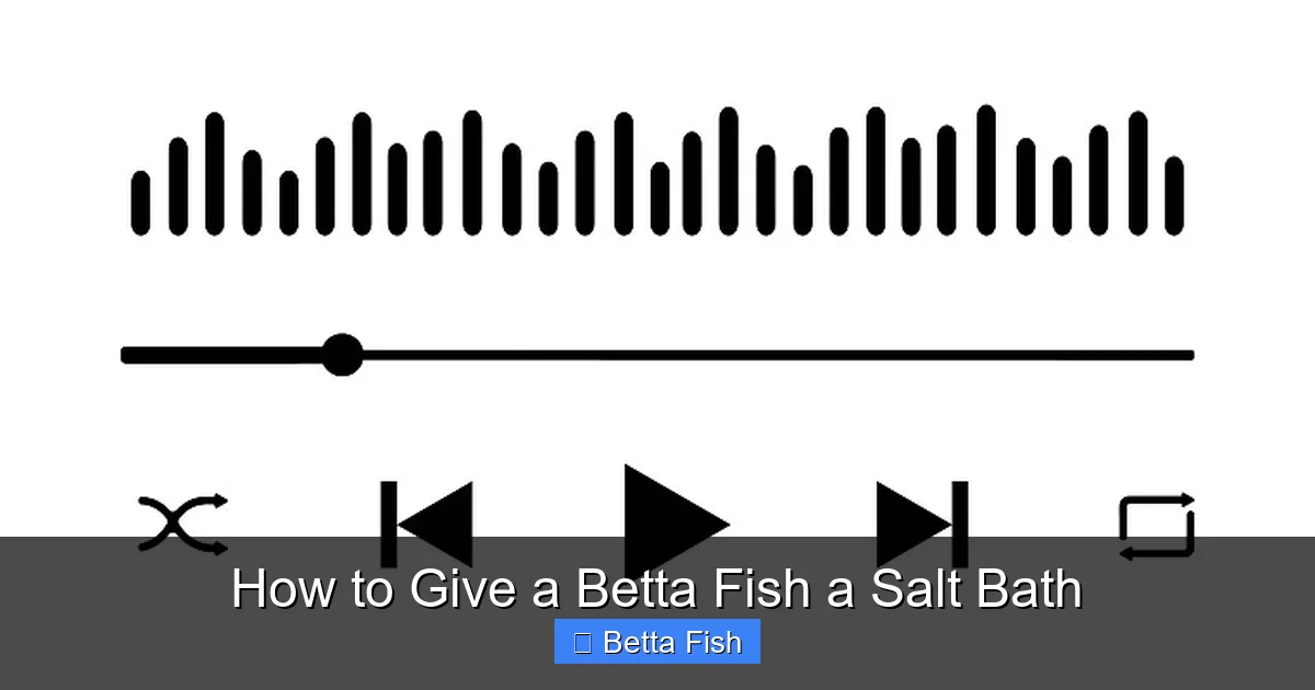 How to Give a Betta Fish a Salt Bath