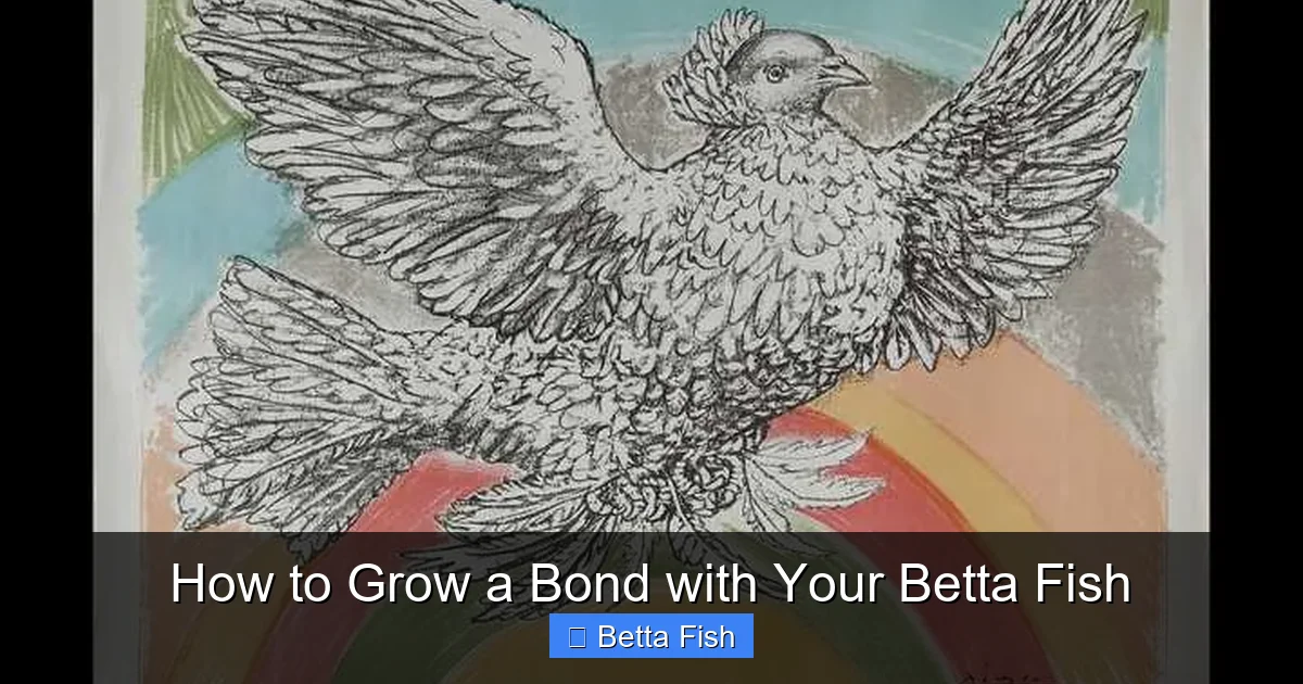 How to Grow a Bond with Your Betta Fish