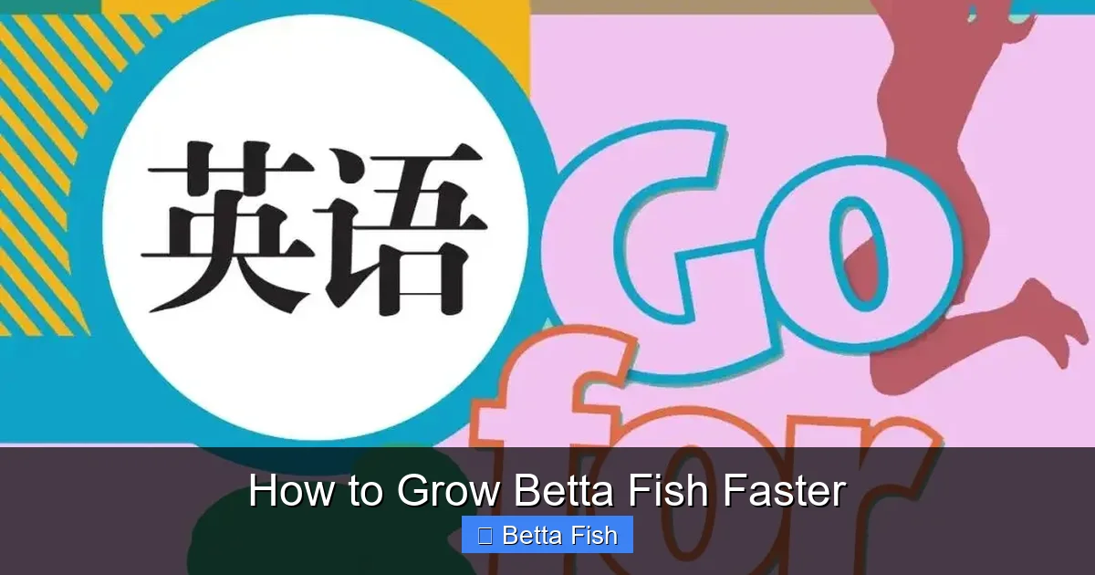 How to Grow Betta Fish Faster