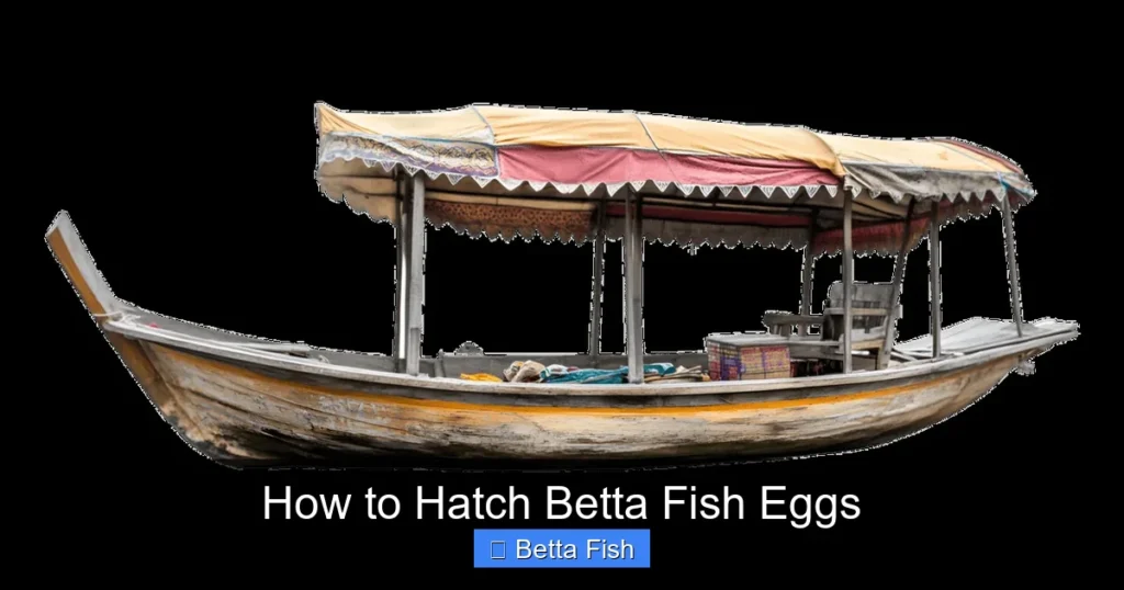 How to Hatch Betta Fish Eggs