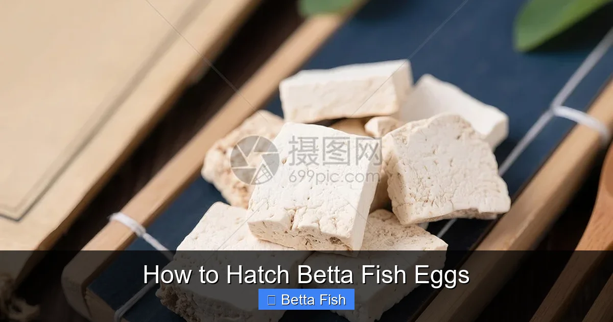 How to Hatch Betta Fish Eggs